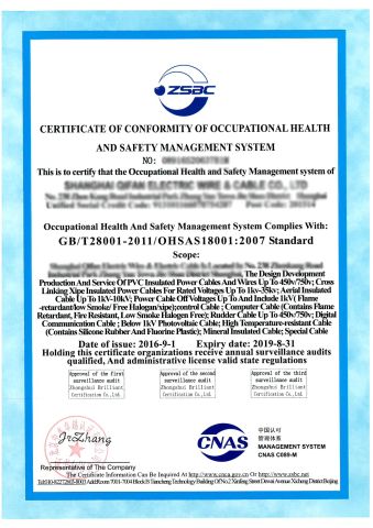 OHSAS certificate from SWAN Wire Engineering