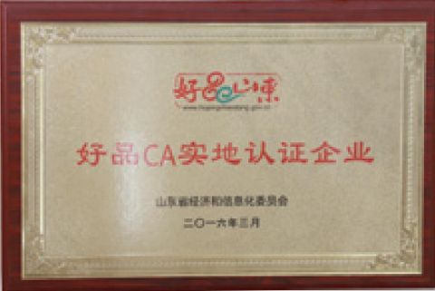 Haopin Shandong certificate from Shandong Yunqi machinery sales Co., LTD