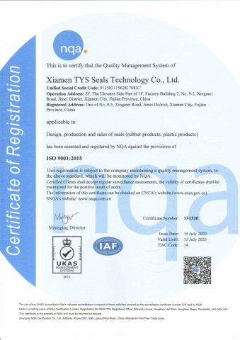 ISO 9001:2015 certificate from Xiamen TYS Seals Technology Co., Ltd.