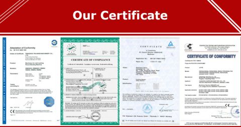 Certificate certificate from Tengzhou Beta Co., Ltd