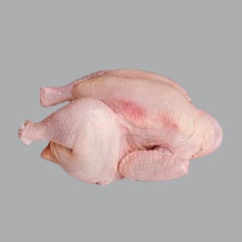 スノーボード Burton ION STEP ON 26.5cm ロコ Kawasaki Ninja ZX-14 Logo Porsche Brand PNG