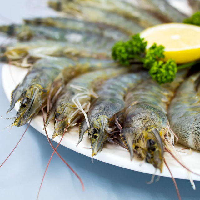 IQF Frozen White Vannamei Shrimp Low MOQ Dried Boxed Promotion Black Tiger Shrimp Fresh Style - Image 4