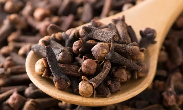Premium Whole Cloves – Export Quality Spice Natural Dried Cloves – Bulk Wholesale Supply High-Quality Whole Cloves for Food & Beverage Industry - Image 5