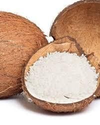 Organic Refined Coconut Oil Whole sales - Image 2
