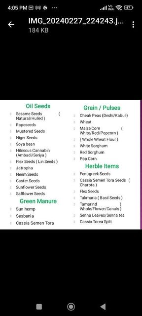 Safflower seed Purity 99% Packaging 30kg Pp Bag Weight Per Container 30kg Shipping Capacity 18 Mt Per - Image 2