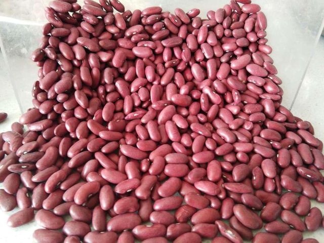Organic Rajma (Red Kidney Beans) Red Kidney Beans Price - Image 3