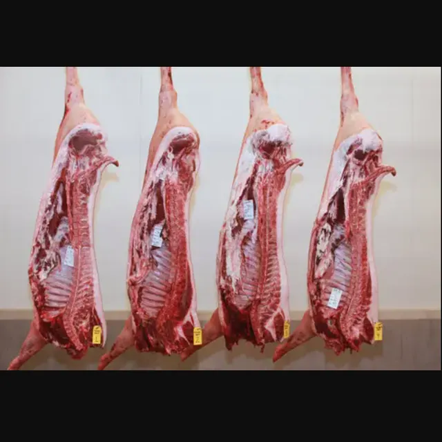 Frozen Pork Body Sourced and Delivered Cleaned and Ready for Use - Image 3