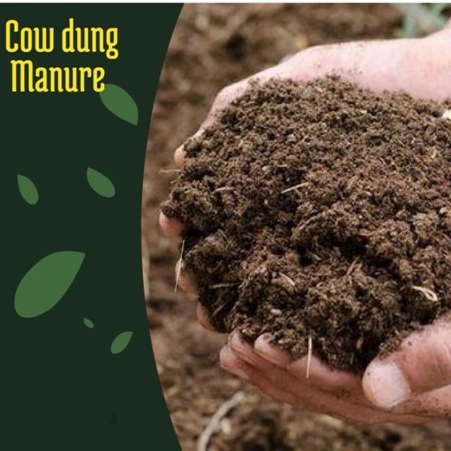Cow Dung Manure - Image 1