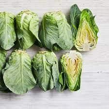 Baby cabbage - Image 3