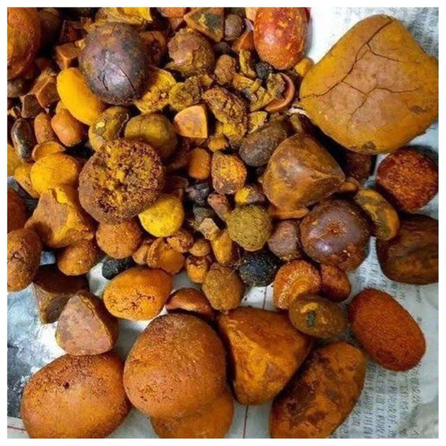 100% Natural Ox Gallstones/Cattle Gallstones/ Cow Gallstones. - Image 2