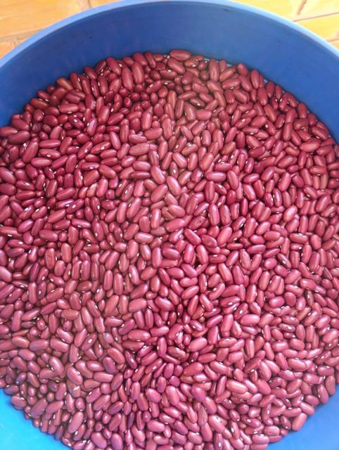 Red Speckled Kidney Beans - Image 3