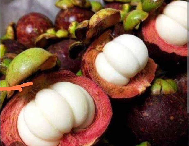Fresh Mangosteen Size <40 mm Grade Cherry Packaging 2,5 kg Pesticide Residue Below Eu Mrl Standards Defect Rate Maximum 5% Minor Defects Allowed - Image 1