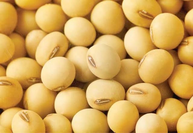 Nigerian Soybeans (Soya Beans) - Image 2