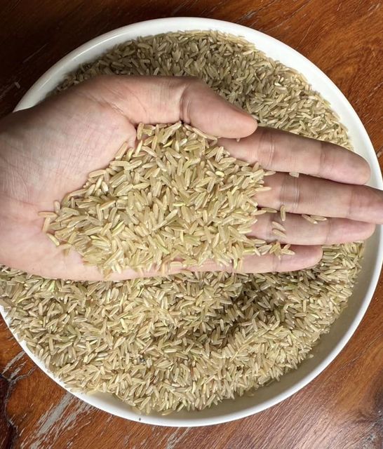 Long Grain White Rice 5% broken - Image 4