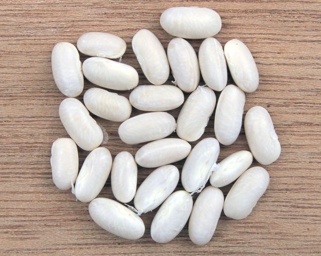 Fresh Navy Beans Clean Dry Natural Beans With Rich Nutrition For Food Preparation Buy Fast Delivery Premium Quality Wholesale Naturally Perfect For Home Kitchen And Food Industry - Image 3