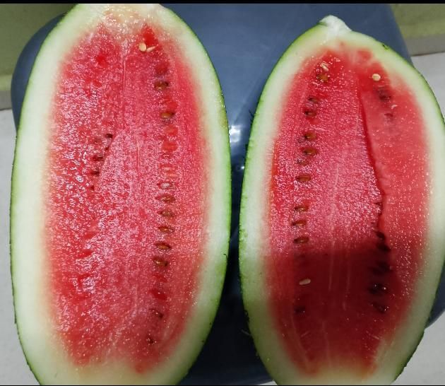 Fresh Fruits and Vegetables Supply Type Continuous Traceability Farm To Shelf Availability Organic And Regular Sourcing Model Direct From Farmer Producer - Image 2