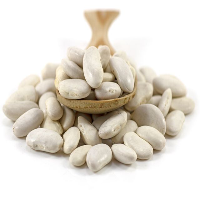 Wholesale Hot Selling Natural White Beans White Sugar Bean New Crop White Kidney beans - Image 1