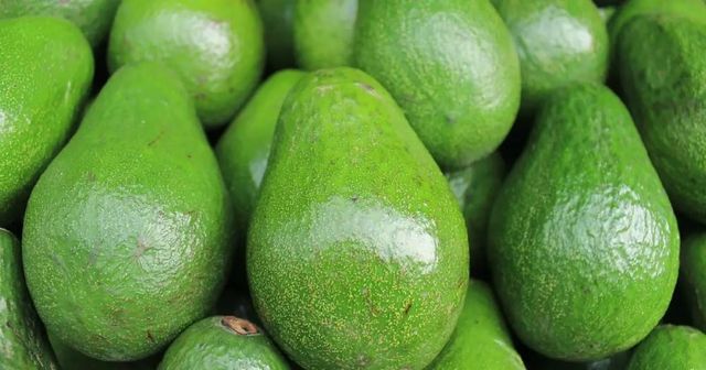 Newest Crop Fresh Avocado Fresh Vegetables With The Best Quality And Competitive Price From Viet Nam – product photo 2, product detail gallery
