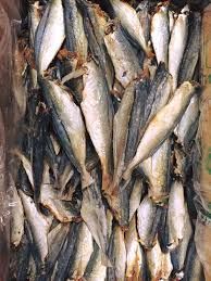 Dried fish / Dried steamed round scad - Image 4