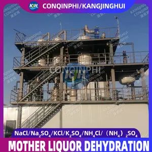 Forced Circulation Triple-Effect Evaporation Freeze Crystallization Equipment - Image 5