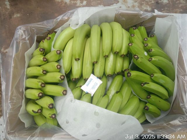 Fresh Banana - Image 4