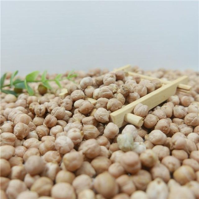 Wholesale Price 25kg 50kg 500g Package 7mm - 9mm Dried Kabuli Garbanzo Beans Chick Pea Chickpeas - Image 5