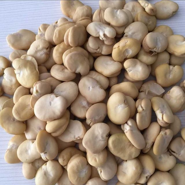 China Origin Peeled Split Fava Beans Dry Broad Bean Without Shell - Image 5