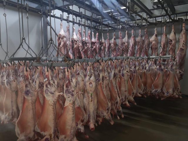 South African Lamb Origin South Africa Type Chilled and Frozen Beef Place of Origin South Africa Product Type Lamb And Mutton - Image 1