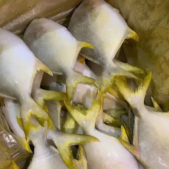 Promotion Good Quality Frozen Seafood Golden Pompano Pomfret Fish - Image 2