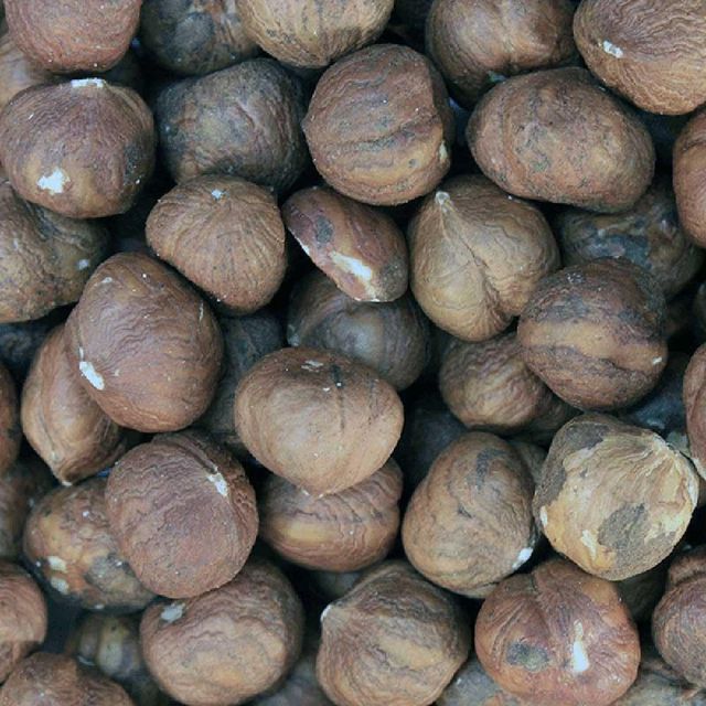 Bulk Hazelnuts Premium Quality Fresh Roasted Natural Snack Wholesale Supplier for Hotels Cafes Restaurants and Shops - Image 2