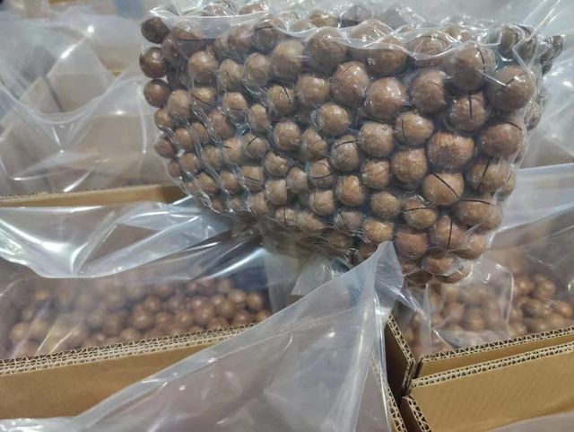 Premium Macadamia Nuts – Raw, Roasted & Organic Kernels for Snacks & Baking - Image 2