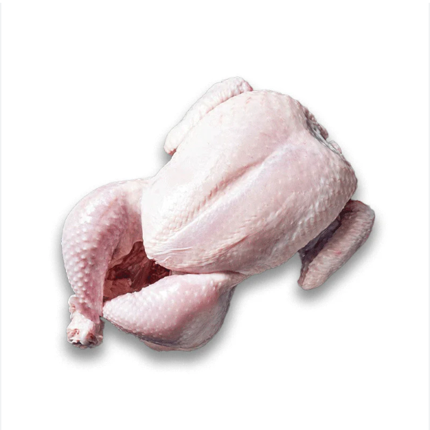 Buy Halal Whole Frozen Chicken for Export /Halal Frozen Whole Chicken - Image 2