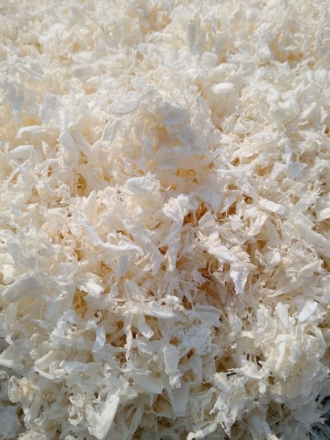 Chitin for chitosan and Glucosamine - Image 1