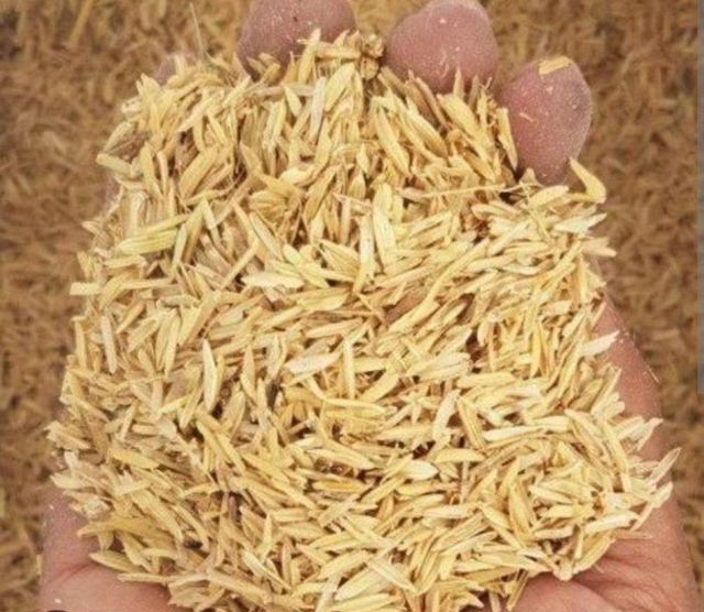 Rice husk – product photo 1, product detail gallery