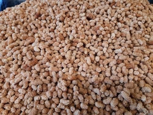 Dried Mulberry - Image 1
