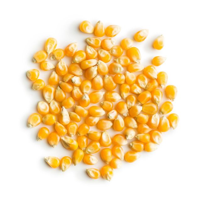 Mature Fresh Yellow Corn Cob Non Glutinous Natural Maize - Image 2