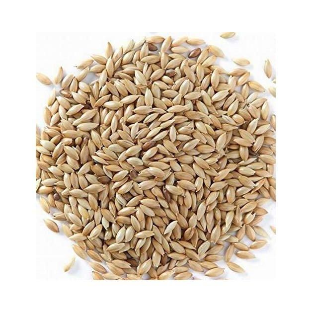 High quality canary seeds bulk wholesale for international buyers - Image 1