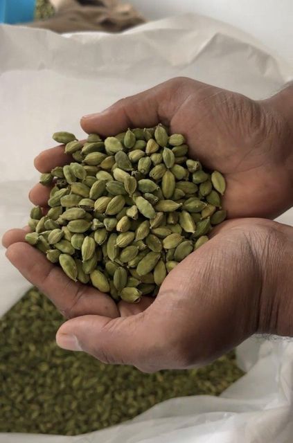 Alappy Green cardamom - 8mm - Image 3