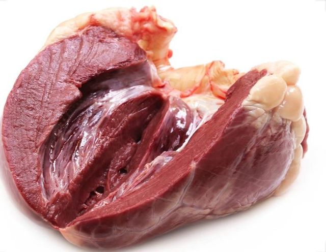 Frozen Beef Kidney Premium Export Supply With Excellent Quality For International Food Markets - Image 1