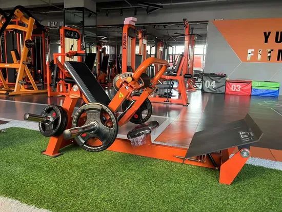 Dezhou Factory Free Weight Gym Machine Commercial Strength Hip Thrust Fitness Equipment - Image 2