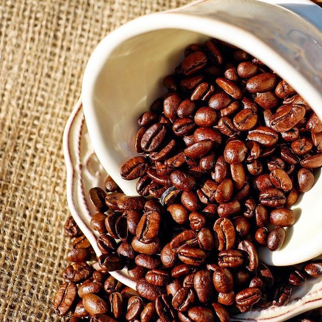 Screen 18 Robusta Coffee Bean Bulk Shipment Natural Process Robusta Coffee Bean For Global Coffee Industry - Image 3