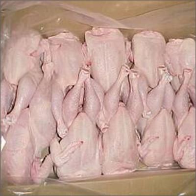 Perfect Premium Grade Frozen Whole Chicken Loading Port Any Payment Term T/t Cut Breast, Fillet Product Type Poultry Package 10kg/ctn, Bulk - Image 4