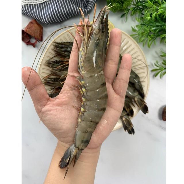 Frozen Fresh Shrimps Offering 98% Natural Seafood Content With Fresh Flavor And Trusted Quality Assurance - Image 4