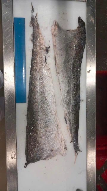 Frozen Hake Fillets Delivery Form Bag, Sacks Origin European Continent, European Union, National, Regional, Worldwide - Image 1