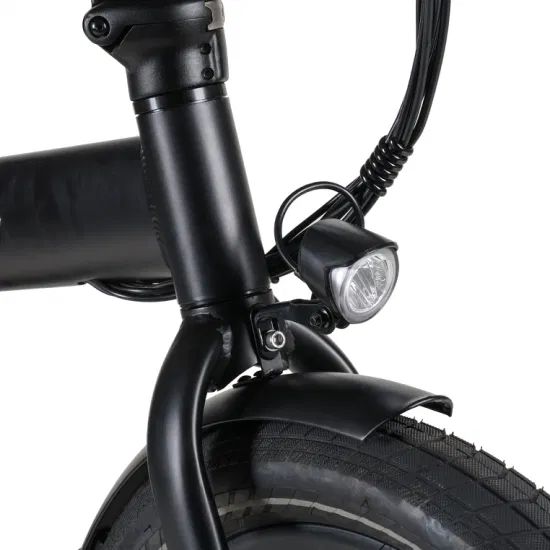Hidden Battery 20" Electric City Bike 250W 36V Ebike Rear Drive Folding Electric Bicycle - Image 2
