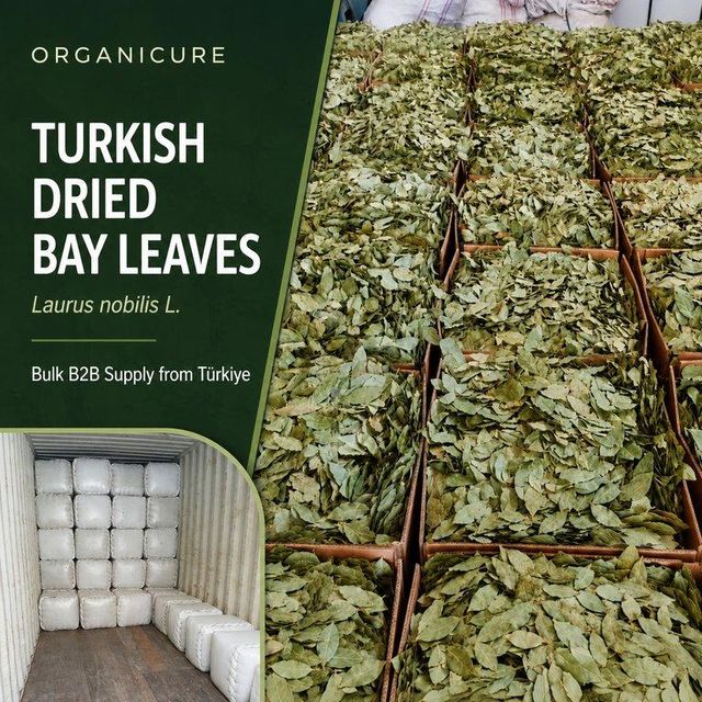 Turkish Dried Bay Leaves (Laurus nobilis L.) — Semi Select & FAQ Pressed Bale - Image 1