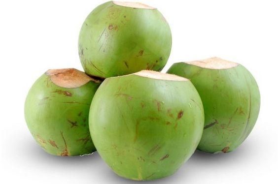 Green Coconut - Fresh Young Brix 7 - 9 High Quality Origin Ben Tre Viet Nam Export Products 100% Natural Sweet Coconut - Image 5