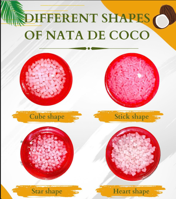 Premium Vietnamese Nata de Coco in Syrup – Healthy Vegan Coconut Dessert - Image 4