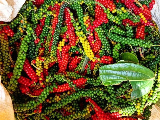 Whole black pepper - Image 2