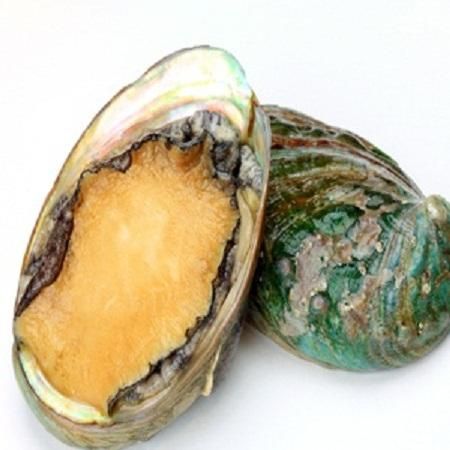 Hot Selling Good Quality Nutritious Shellfish Dried Abalone Style Canned Weight (kg) 25 Drying Process AD Shelf Life 3 - Image 4